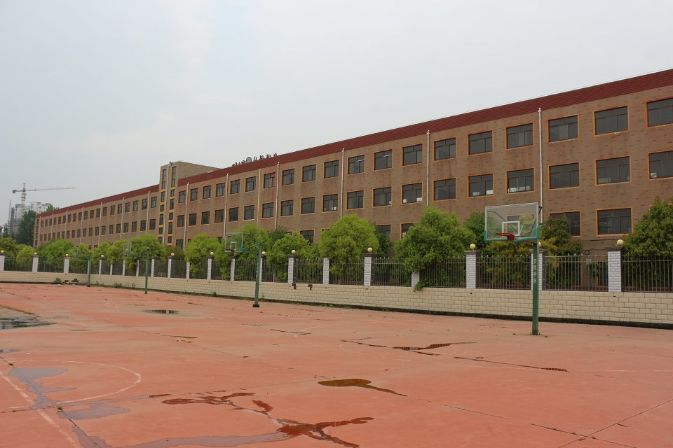 2025新澳原料免费资料